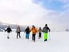 Guided Snowshoe Tour in Lungötz im Lammertal (half day)