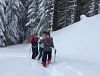 Exklusive Halbtages-Schneeschuhwanderung um Salzburg