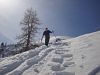 Guided Snowshoe Tour in Abtenau (half day)