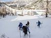Guided Snowshoe Tour around Salzburg for groups from 5 people (1 day)